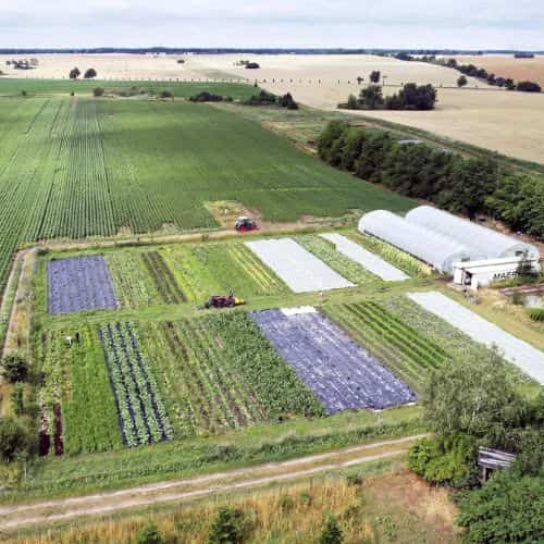 an image showing small 3 acre farm