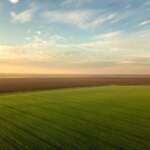 1000 acres of land featured image