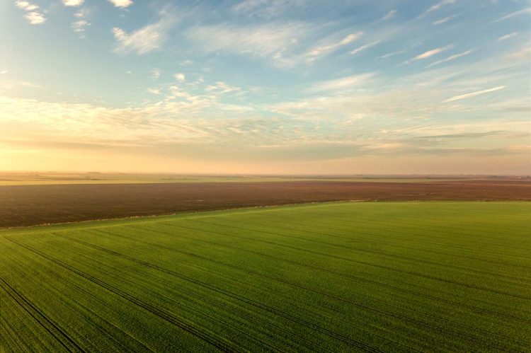 1000 acres of land featured image