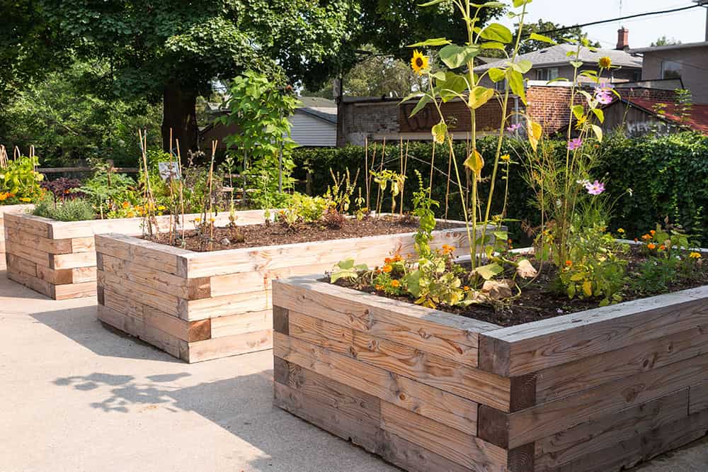 A small community garden