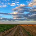 an image of a 200 acres big farm