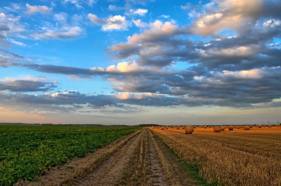 an image of a 200 acres big farm