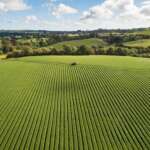 how big is 4000 acres