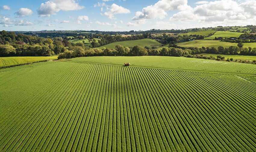 How Big Is 50 Acres 5 Examples House Acres how-big-is-50-acres-5-examples-house-acres