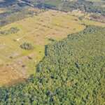 how big is 50 acres