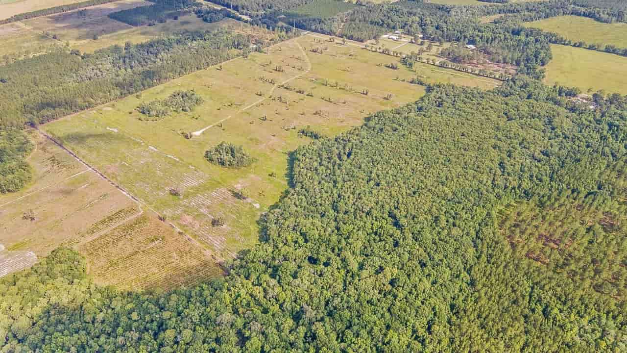 how big is 50 acres