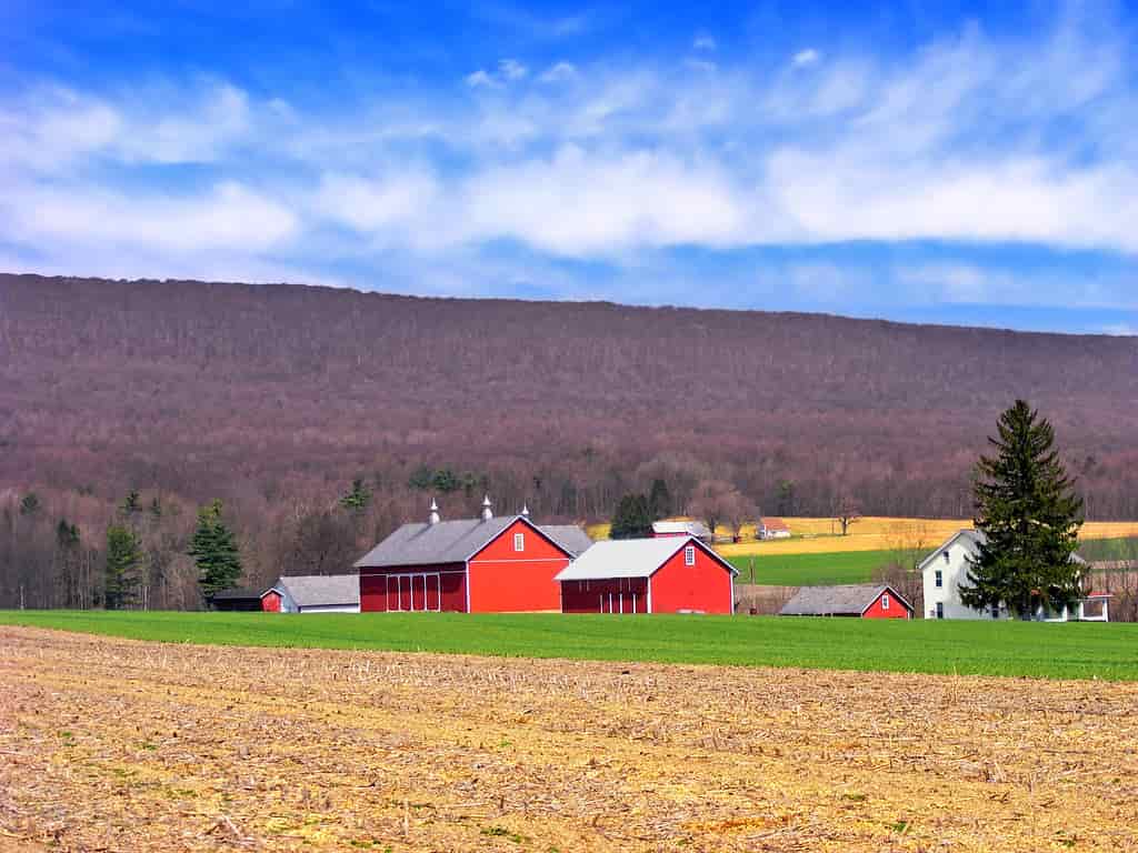 how big is 500 acres
