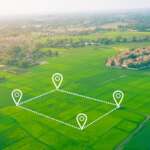 How big is ⅛ acres featured image