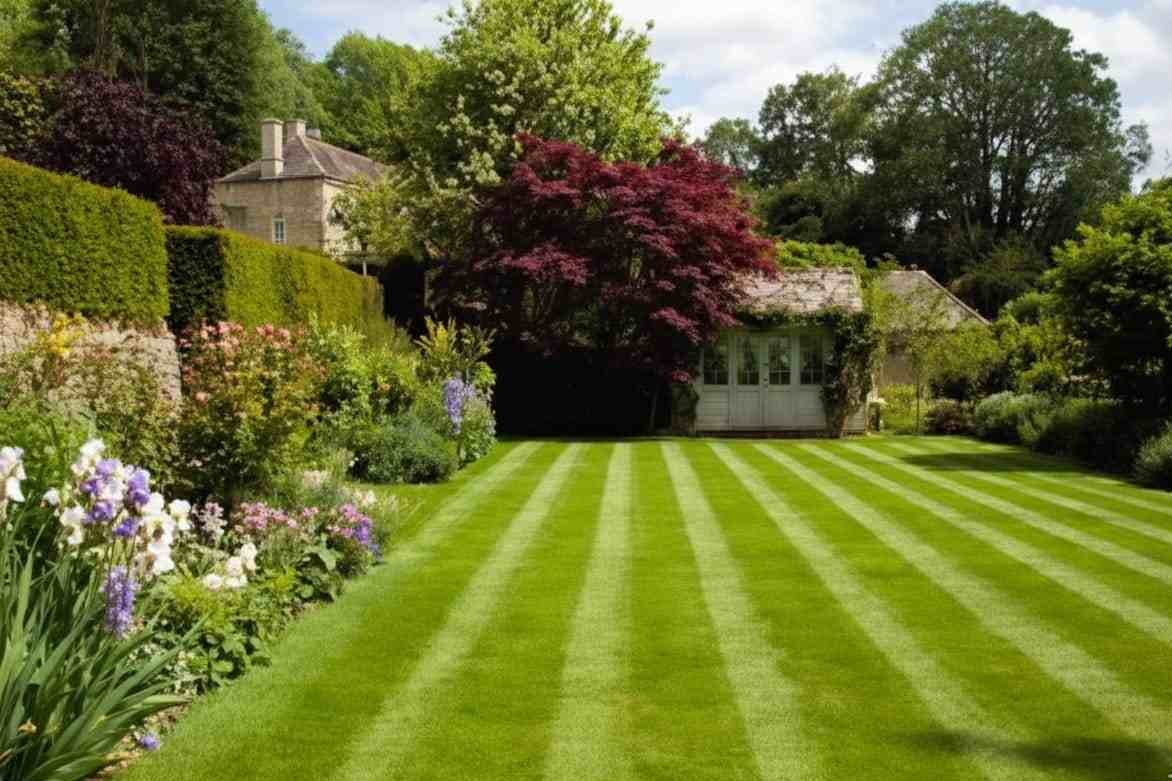 A Lawn