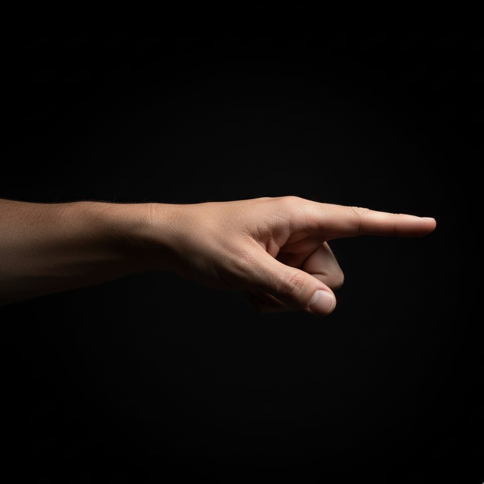 An Adult Index Finger