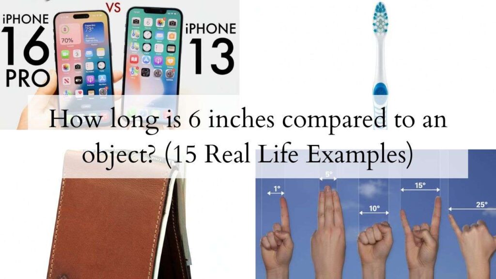 How long is 6 inches compared to an object
