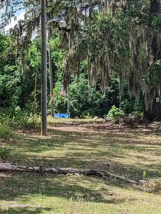 Ja morants childhood home backyard photo