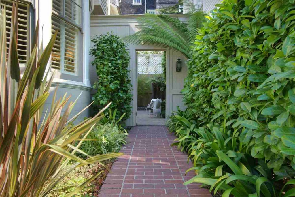 Mrs. Doubtfire's house outdoor area