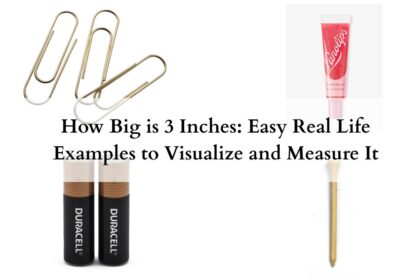 How Big is 3 Inches featured image