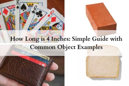 How Long is 4 Inches featured image