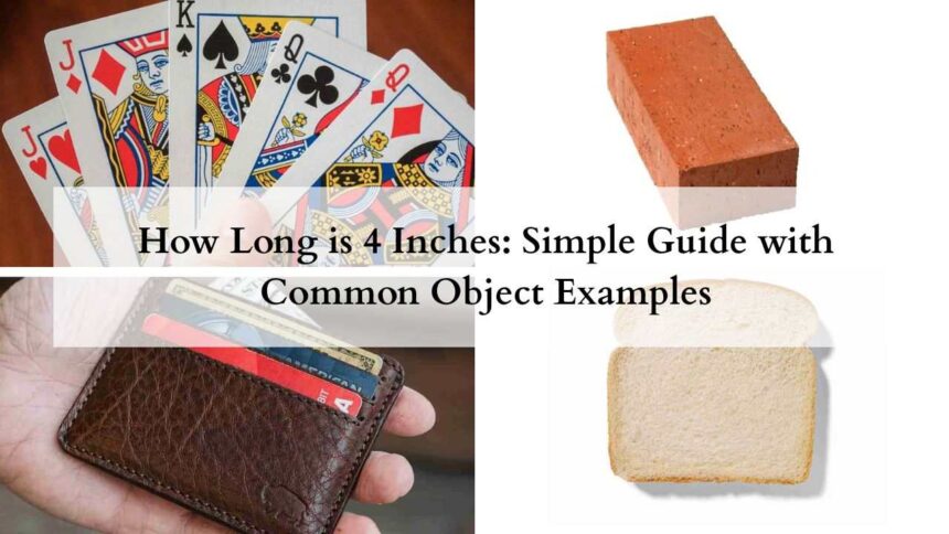 How Long is 4 Inches featured image