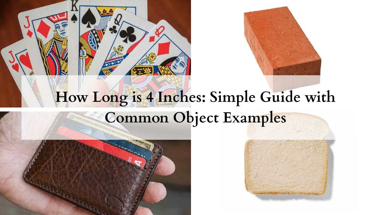 How Long is 4 Inches featured image