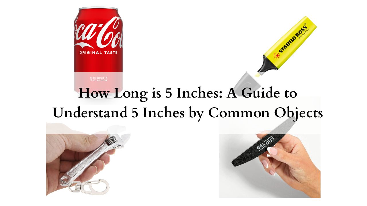 How Long is 5 Inches featured image
