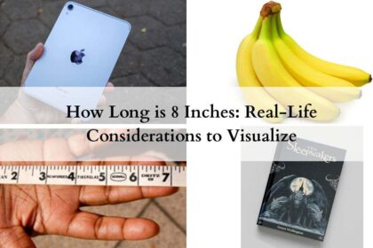 How Long is 8 Inches featured image