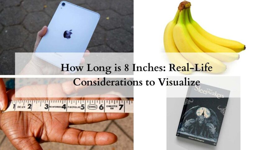 How Long is 8 Inches featured image