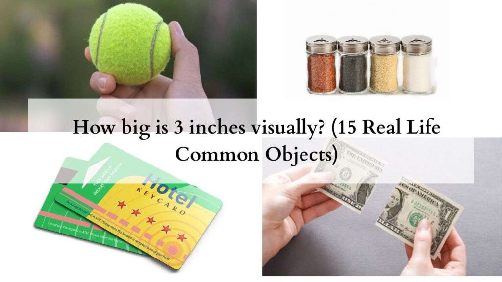 How big is 3 inches visually (15 Real Life Common Objects)