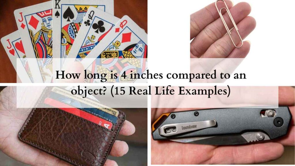How long is 4 inches compared to an object (15 Real Life Examples)