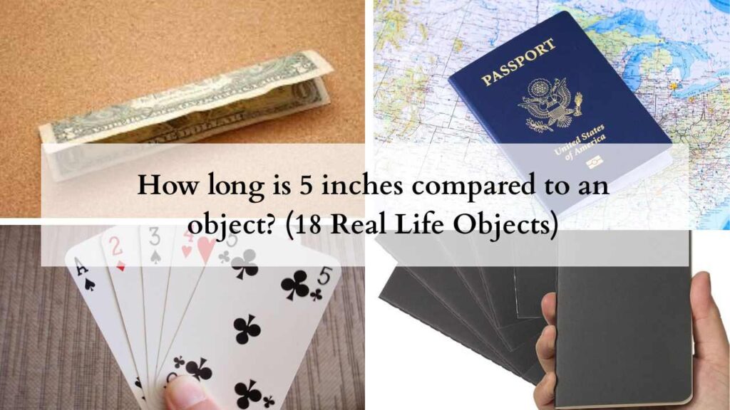 How long is 5 inches compared to an object (18 Real Life Objects)