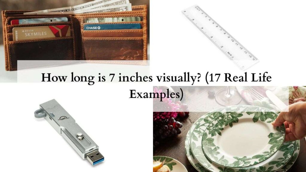 How long is 7 inches visually (17 Real Life Examples)