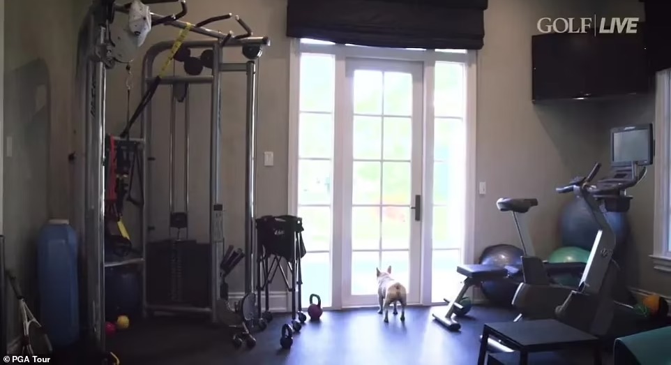 Rory Mcilroy house gym