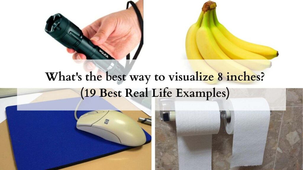 What's the best way to visualize 8 inches (19 Best Real Life Examples)