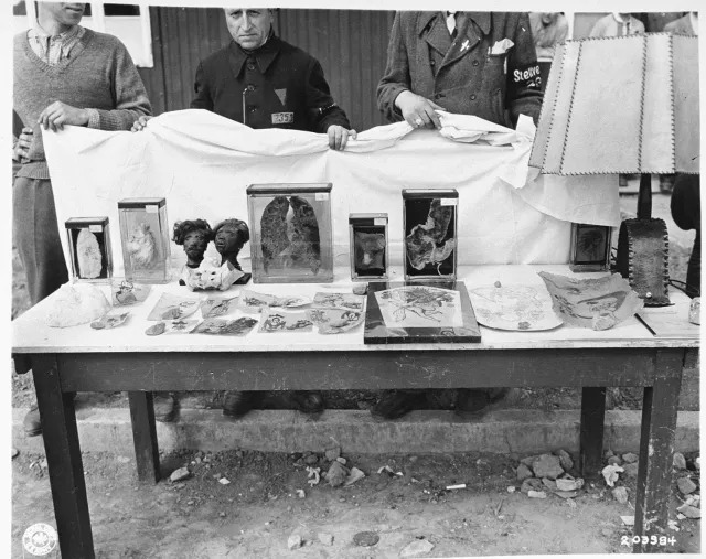 human body parts found at ed gein house 