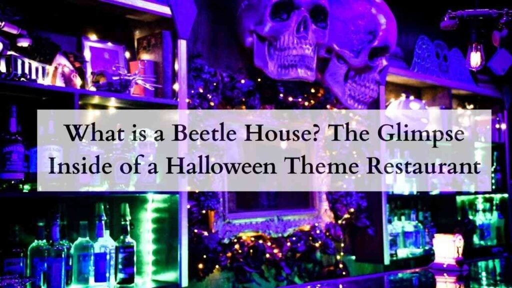 What is a Beetle House The Glimpse Inside of a Halloween Theme Restaurant